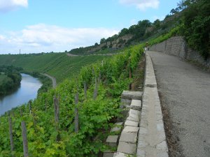 felsengarten