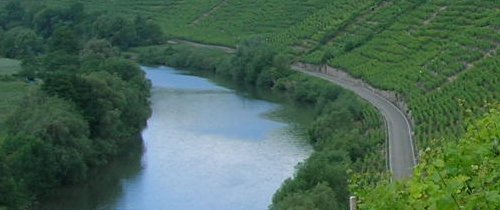 felseng�rten